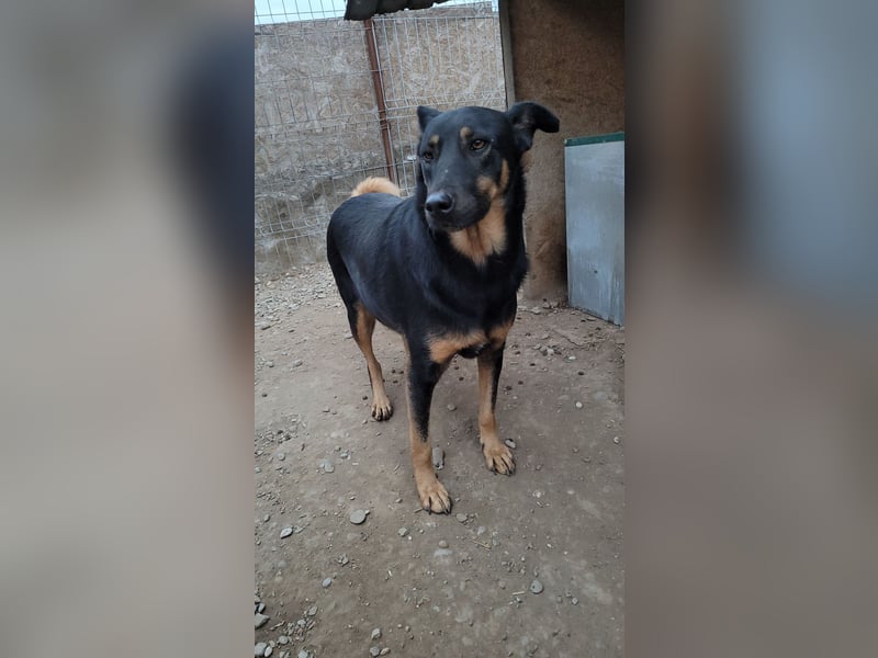 KARLA - darf ich bei dir aufblühen?