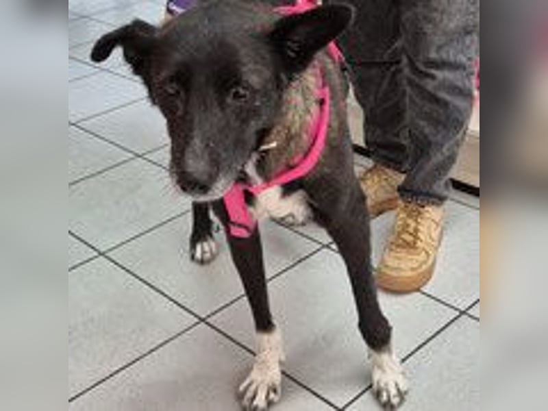 Frida - lebensfrohe Seniorin