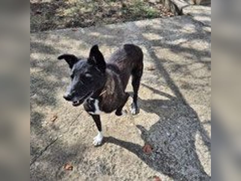 Frida - lebensfrohe Seniorin