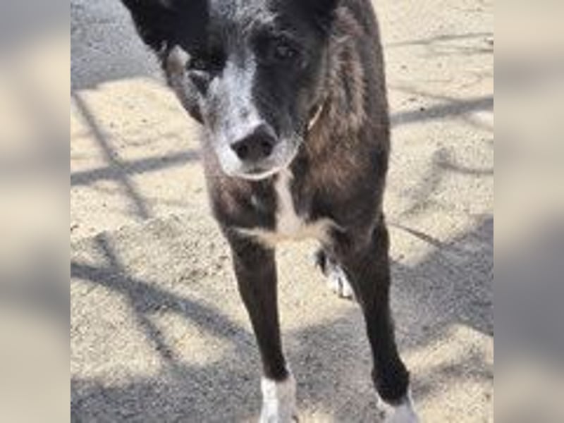 Frida - lebensfrohe Seniorin