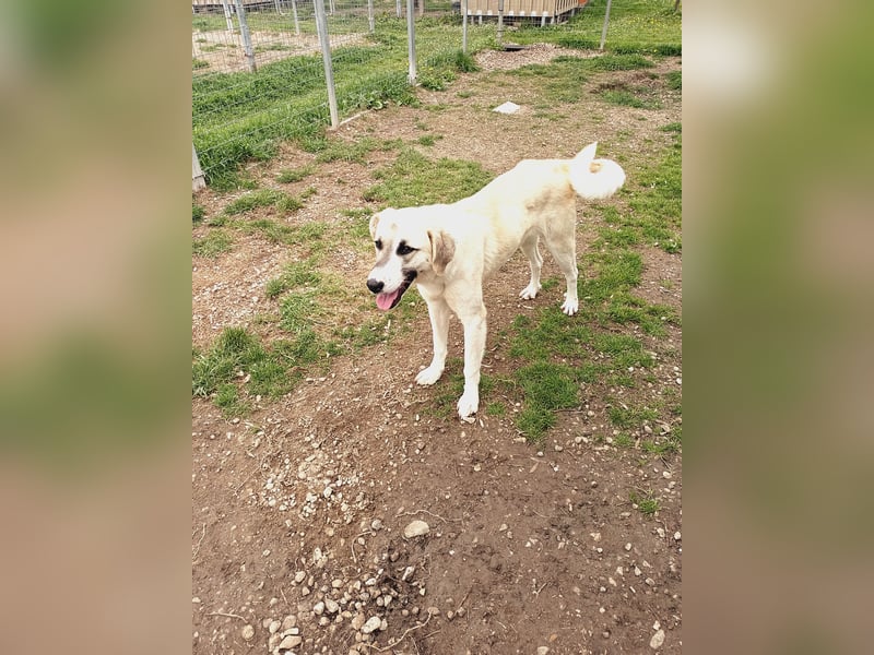 Süßer Fratz sucht Kuschelplatz