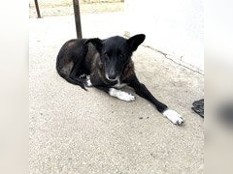 Frida - lebensfrohe Seniorin