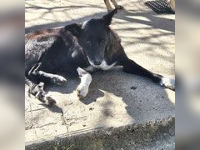 Frida - lebensfrohe Seniorin