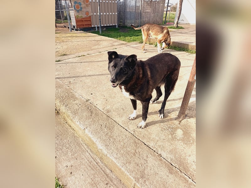 Frieda - lebensfrohe Seniorin