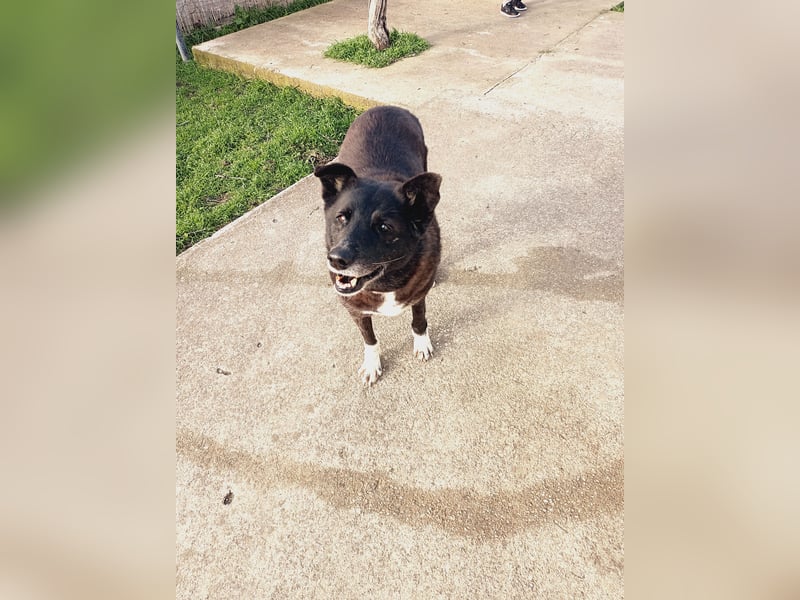 Frieda - lebensfrohe Seniorin