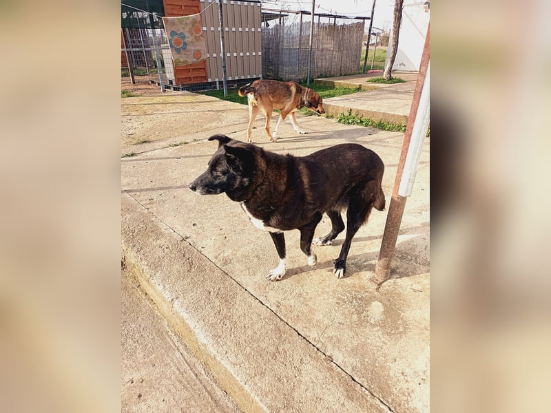 Frieda - lebensfrohe Seniorin