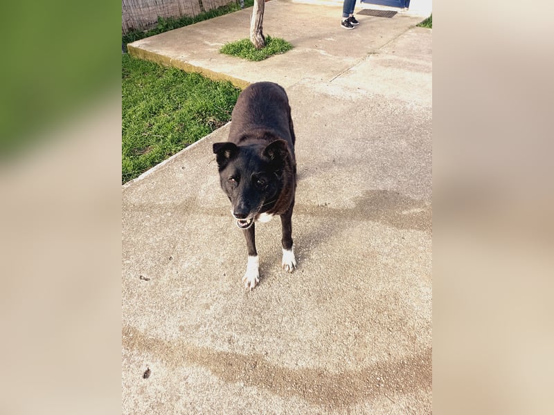 Frieda - lebensfrohe Seniorin