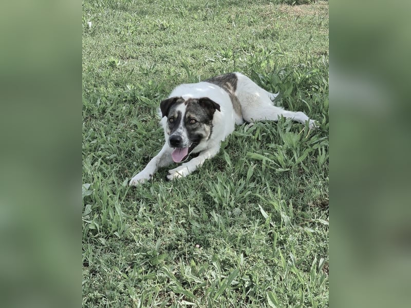 Christine - Familienanschluss wäre das Schönste