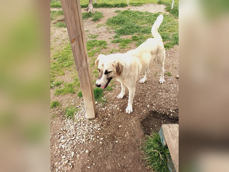 Süßer Fratz sucht Kuschelplatz