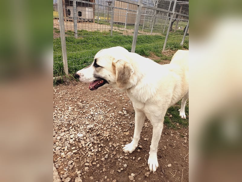 Süßer Fratz sucht Kuschelplatz