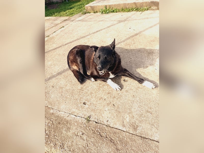 Frieda - lebensfrohe Seniorin