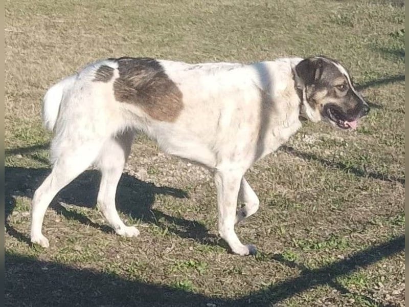 Christine - Familienanschluss wäre das Schönste