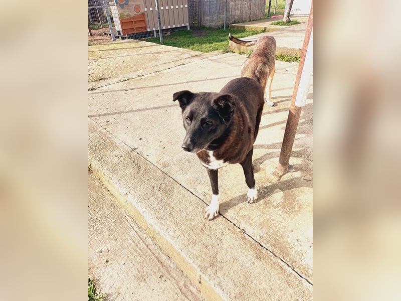 Frieda - lebensfrohe Seniorin