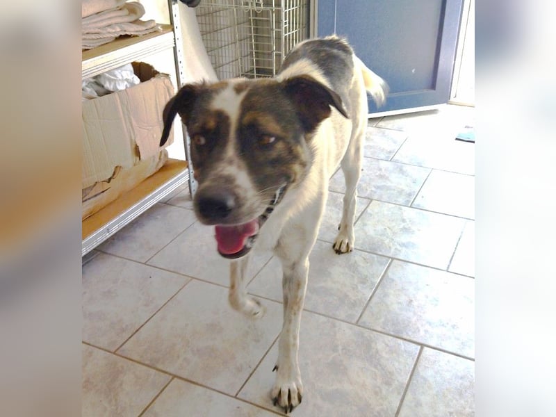 Christine - Familienanschluss wäre das Schönste