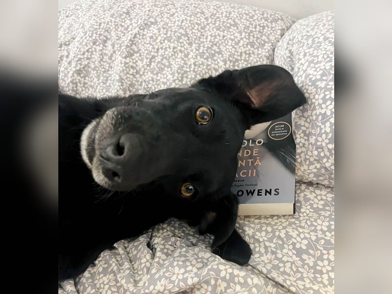 Wunderschöne Mai sucht ihre Familie