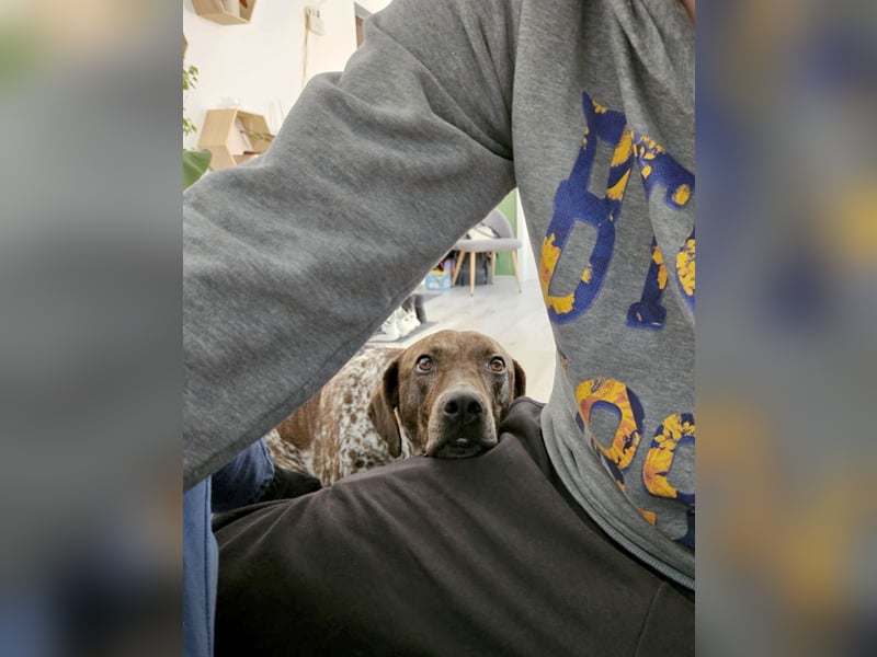 Stella hat schon viel dazu gelernt, wer gibt ihr ein Zuhause?