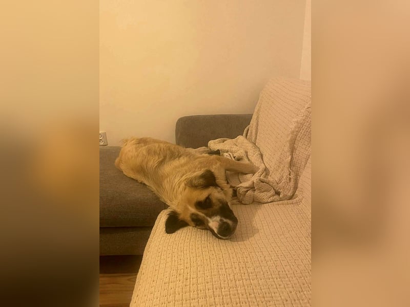 Große Odette sucht ihr eigenes Zuhause