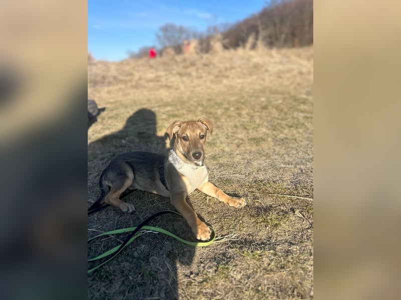 Goldige Burita will eine eigene Familie