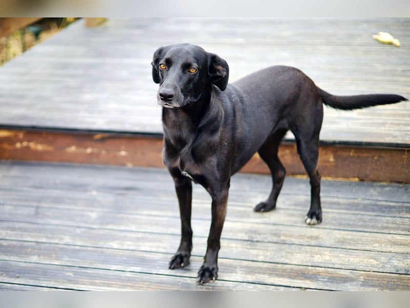 Wunderschöne Mai sucht ihre Familie