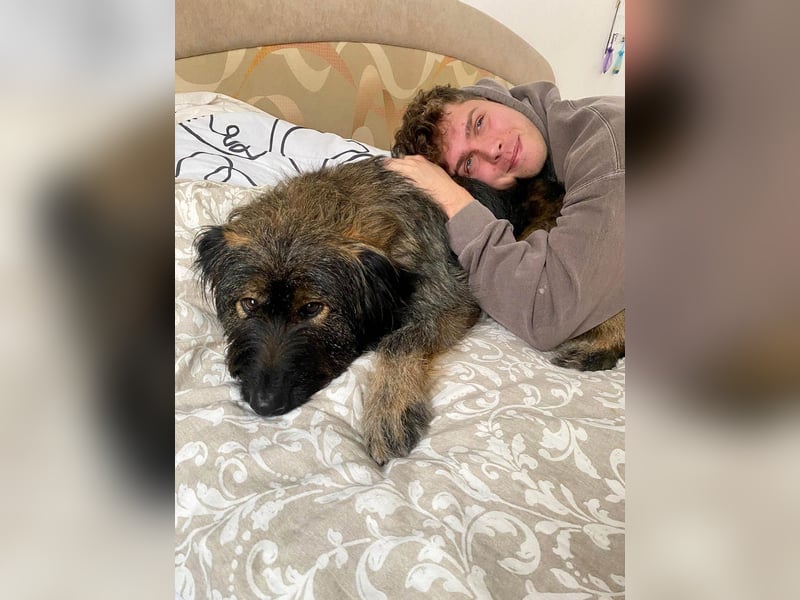 Wuscheliger Grey sucht seine Familie