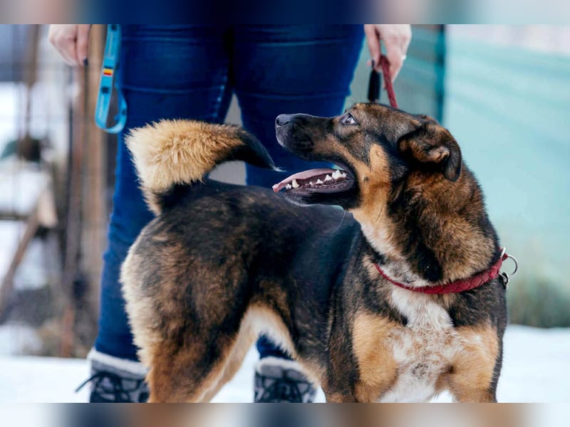 Amira möchte endlich ein liebevolles Zuhause
