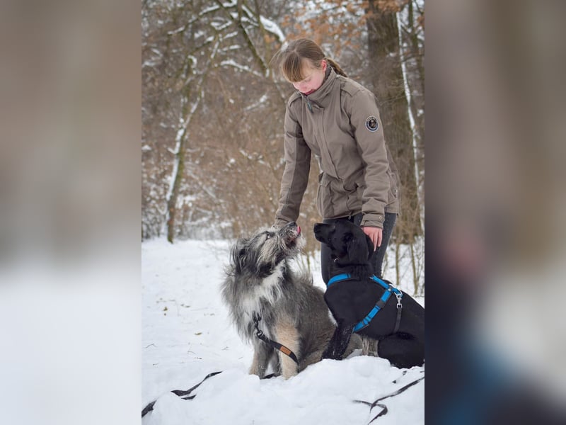 Süßer Paddy sucht seine Familie