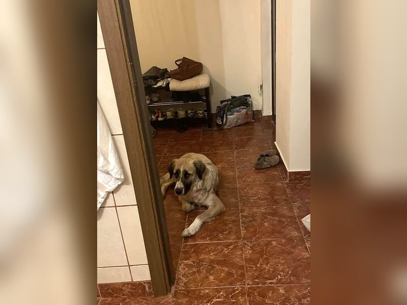 Große Odette sucht ihr eigenes Zuhause