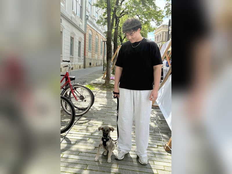 Goldige Miraya sucht ihre Menschen