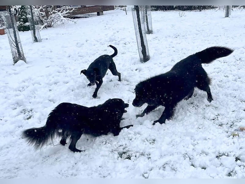 Wunderschöne Mai sucht ihre Familie