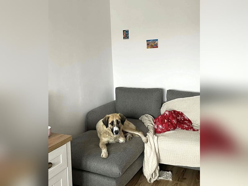 Große Odette sucht ihr eigenes Zuhause