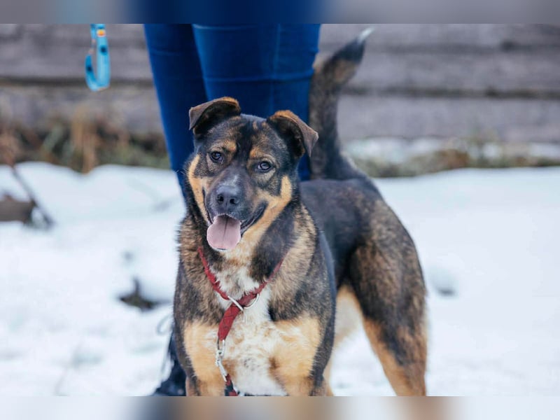 Amira möchte endlich ein liebevolles Zuhause