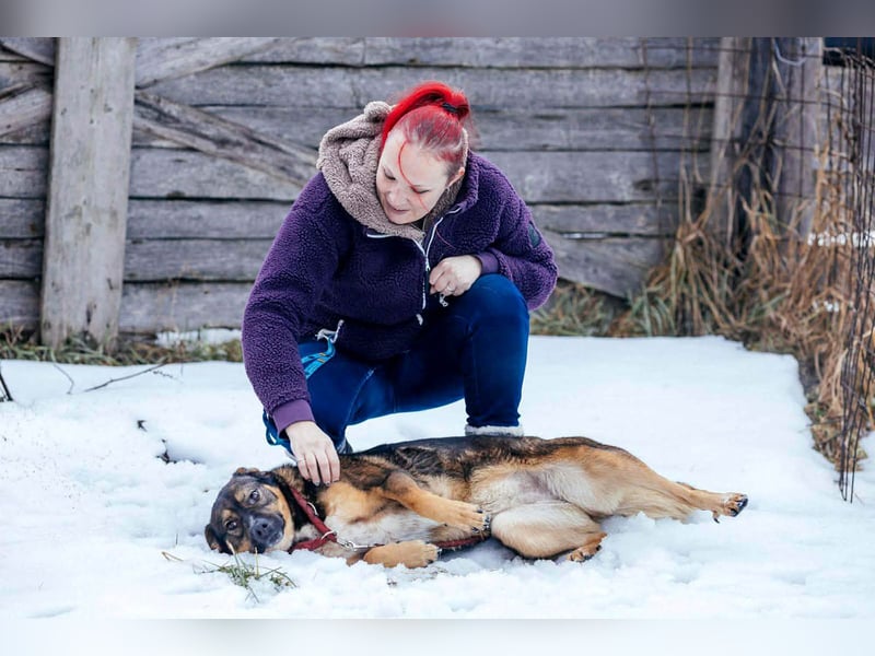 Amira möchte endlich ein liebevolles Zuhause