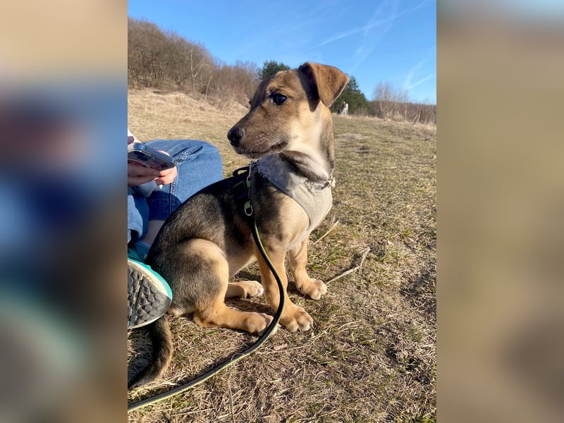 Goldige Burita will eine eigene Familie