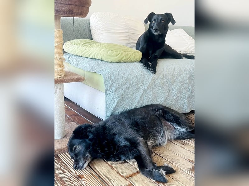 Wunderschöne Mai sucht ihre Familie