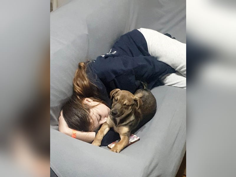 Goldige Burita will eine eigene Familie