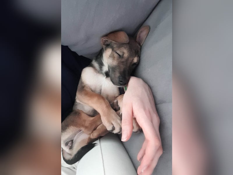 Goldige Burita will eine eigene Familie