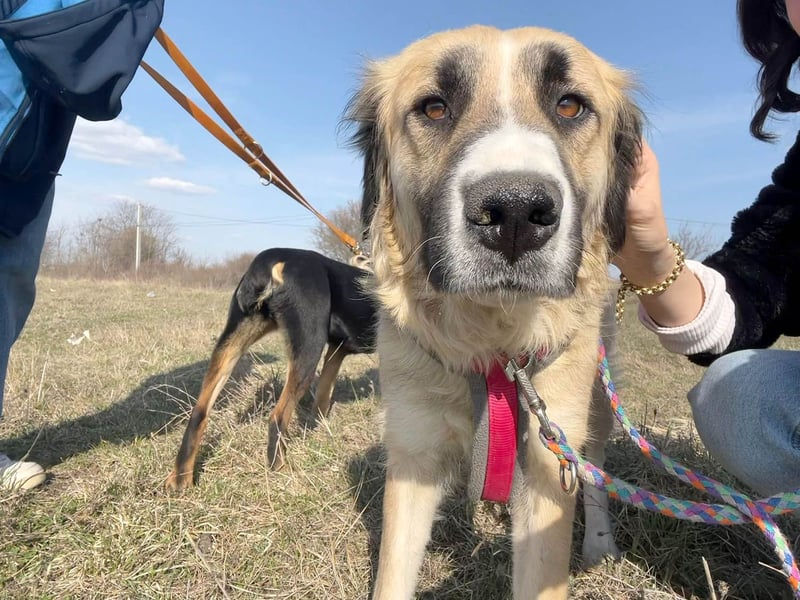 Große Odette sucht ihr eigenes Zuhause