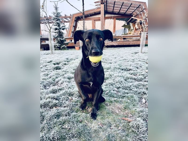 Wunderschöne Mai sucht ihre Familie