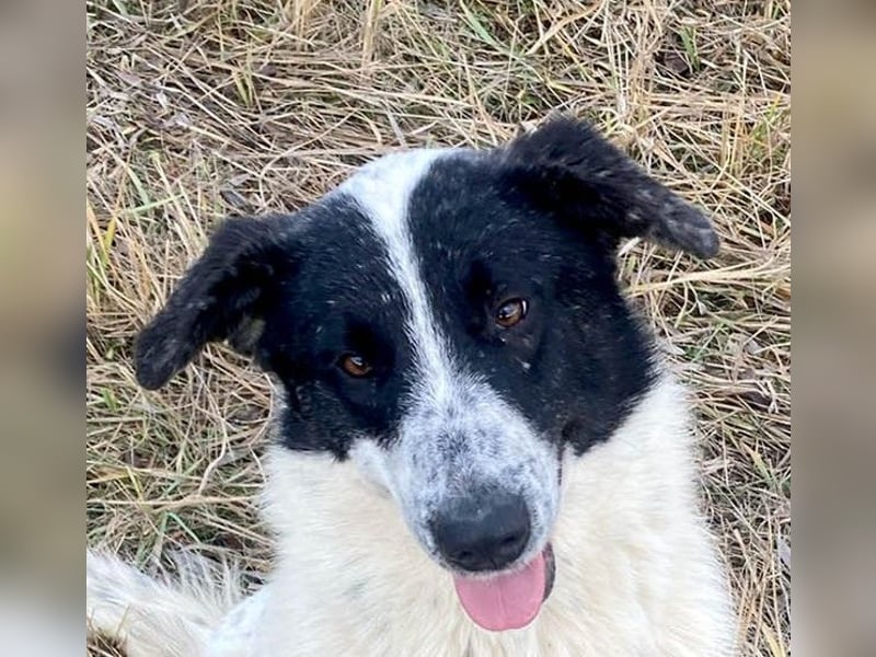 Große Monnie sucht passendes Körbchen