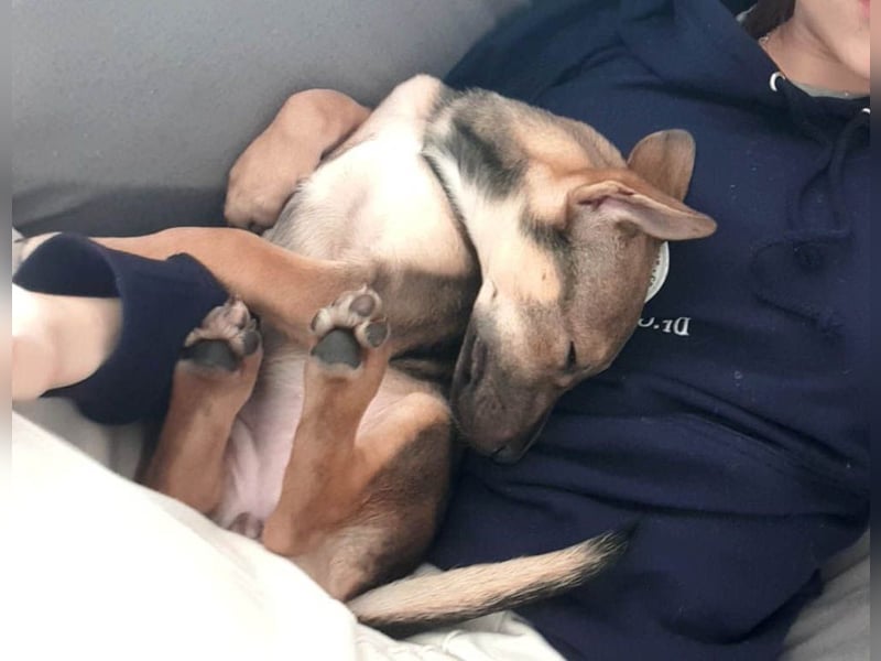 Goldige Burita will eine eigene Familie