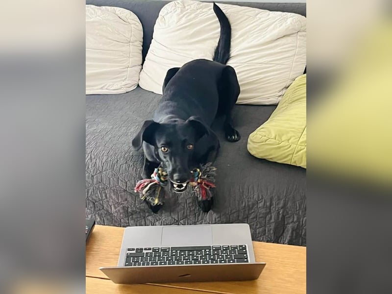 Wunderschöne Mai sucht ihre Familie