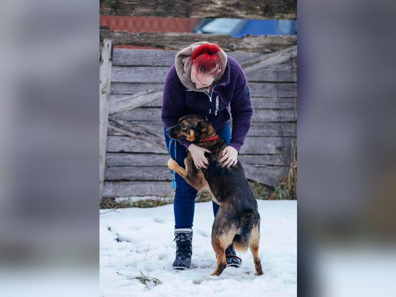 Amira möchte endlich ein liebevolles Zuhause