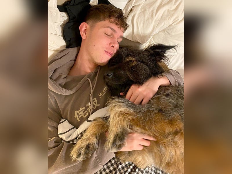 Wuscheliger Grey sucht seine Familie