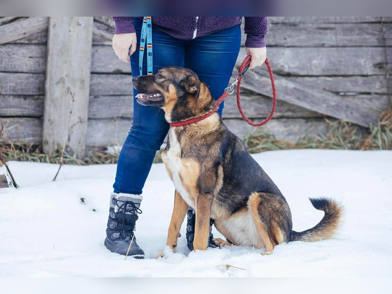 Amira möchte endlich ein liebevolles Zuhause