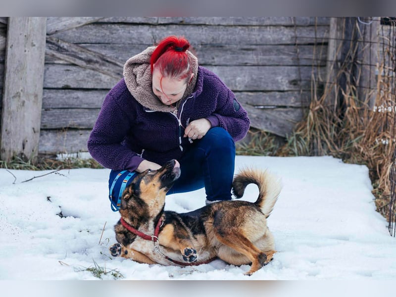 Amira möchte endlich ein liebevolles Zuhause