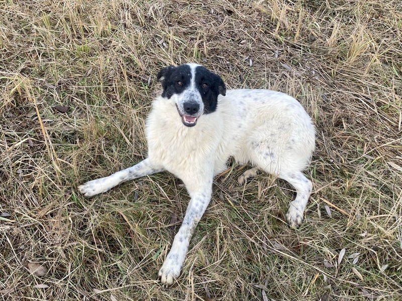 Große Monnie sucht passendes Körbchen
