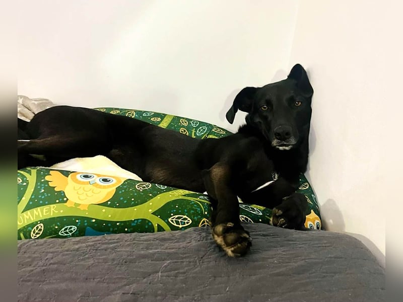 Wunderschöne Mai sucht ihre Familie