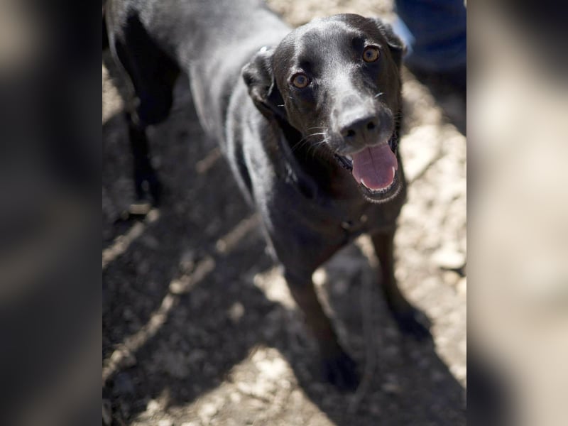 Wunderschöne Mai sucht ihre Familie