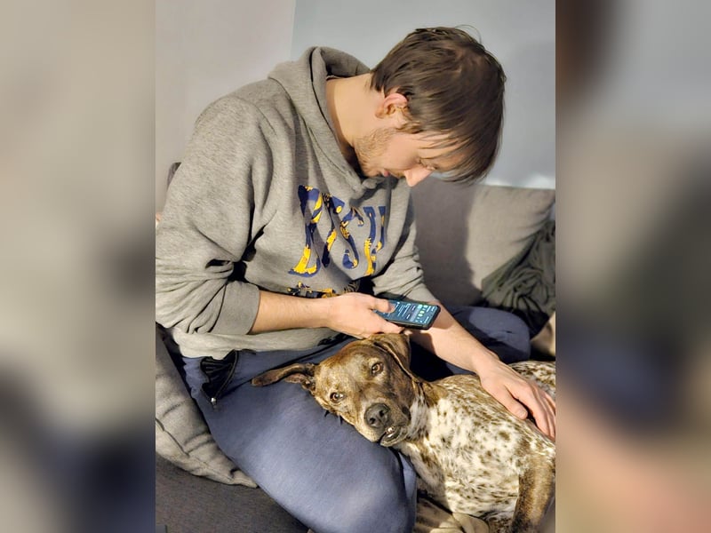 Stella hat schon viel dazu gelernt, wer gibt ihr ein Zuhause?