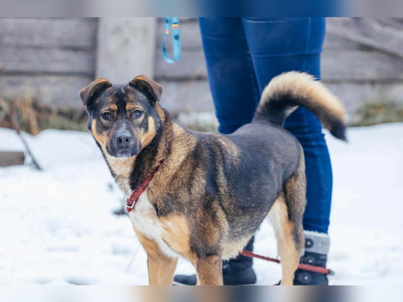 Amira möchte endlich ein liebevolles Zuhause